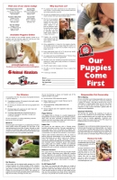 Animal Kingdom & Puppies N Love Brochure